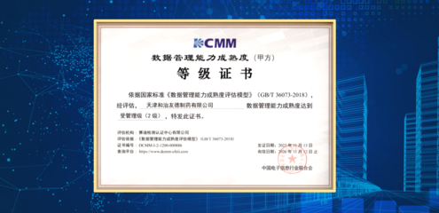 天津和治友德制藥成功通過DCMM貫標等級認證，信息技術服務邁上新臺階